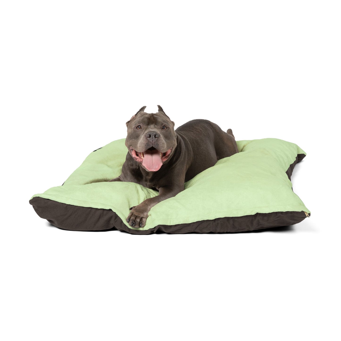Pastel Green Bed