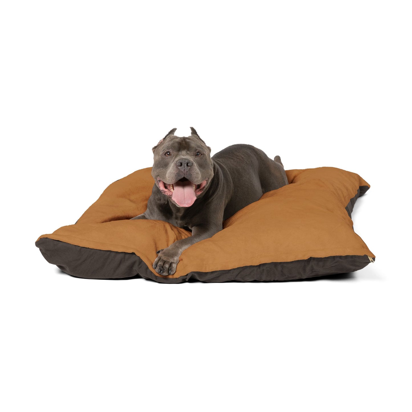 Barkle "B" Signature Brown Bed