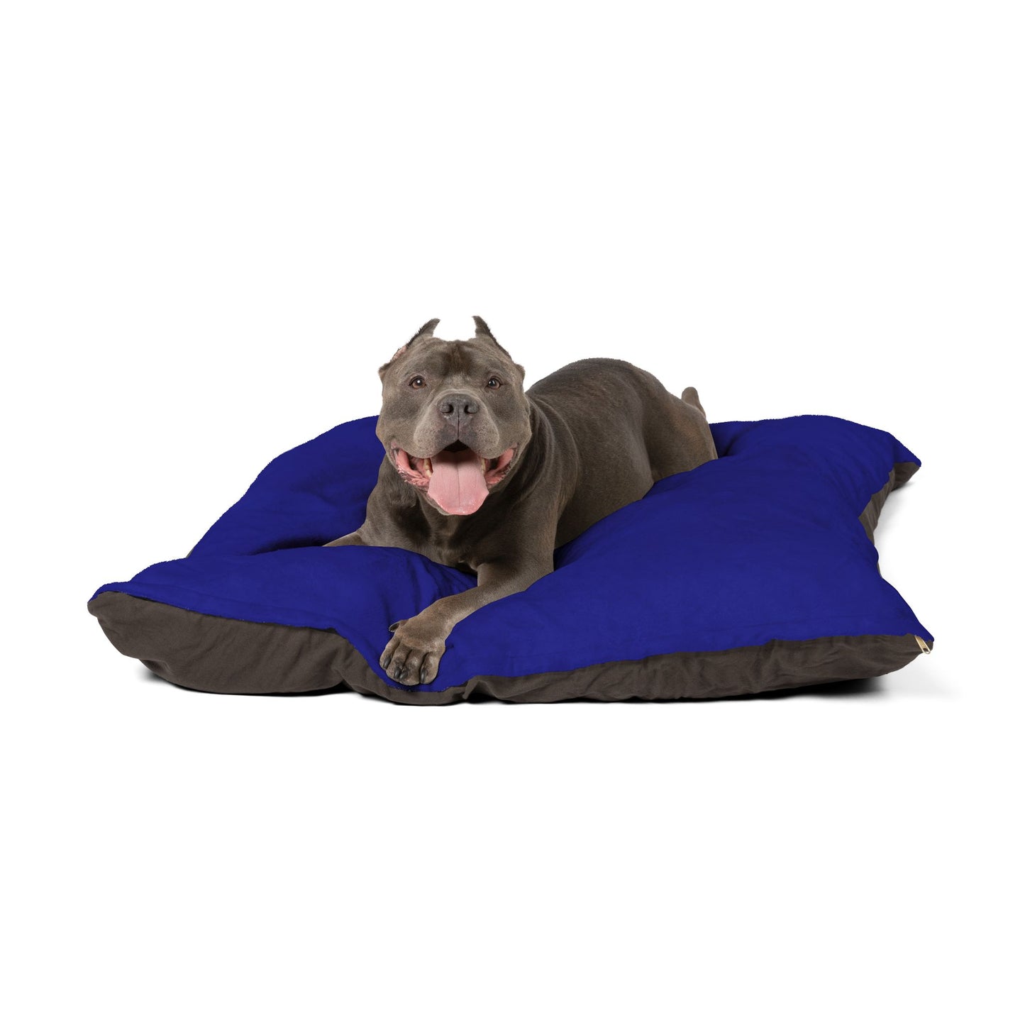 Barkle “B” Signature Navy Blue Bed