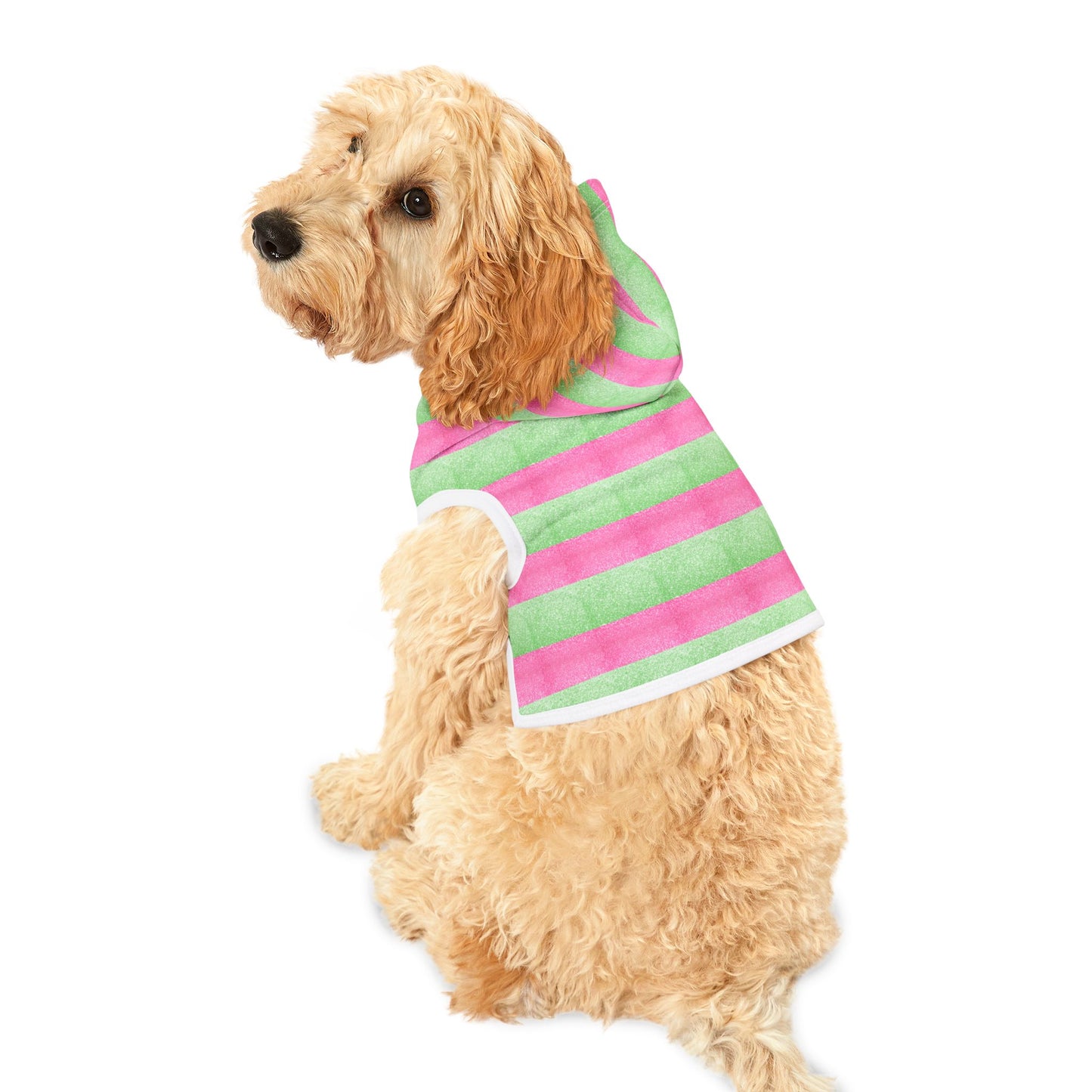 Watermelon Splash Hoodie