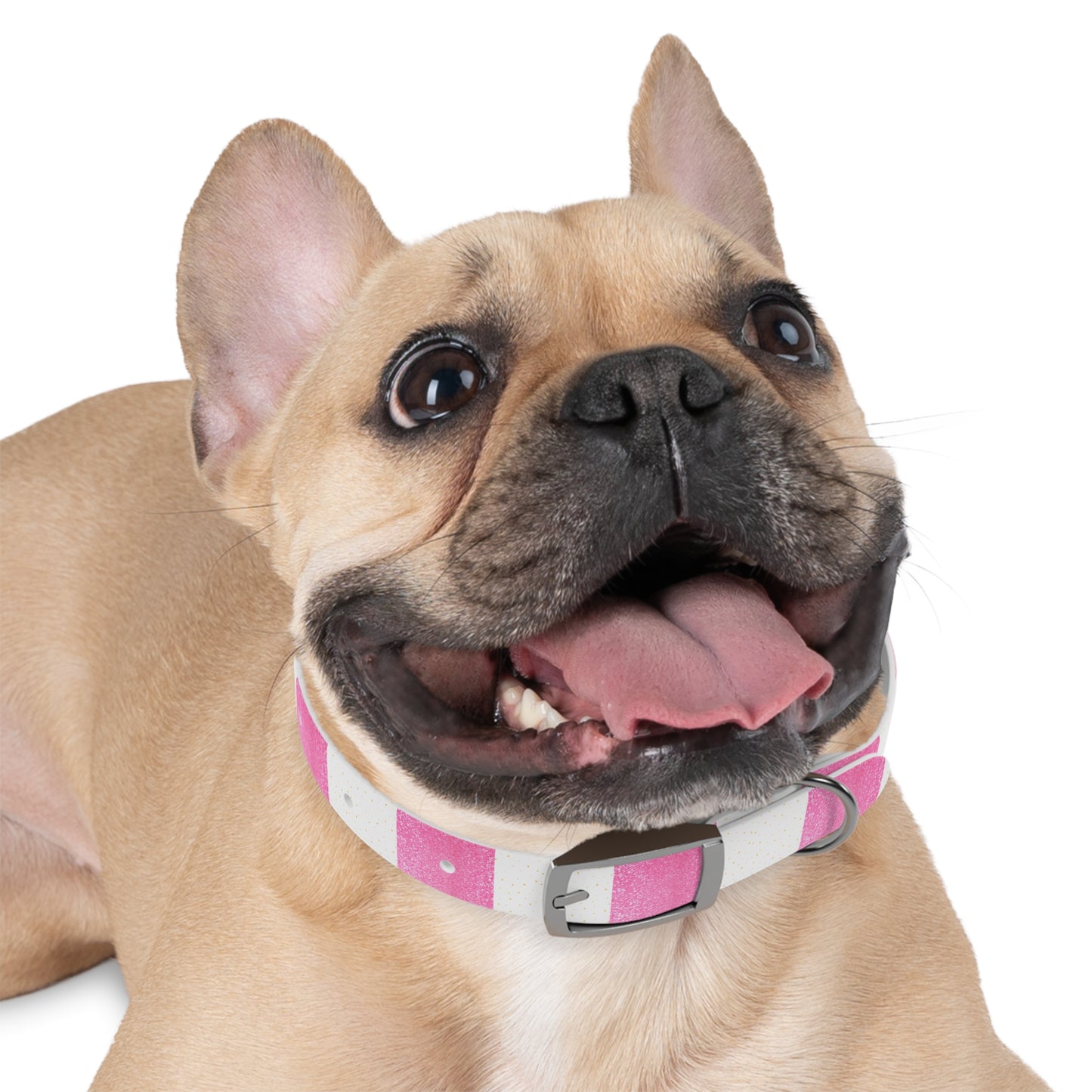 Candy Cane Blitz Collar
