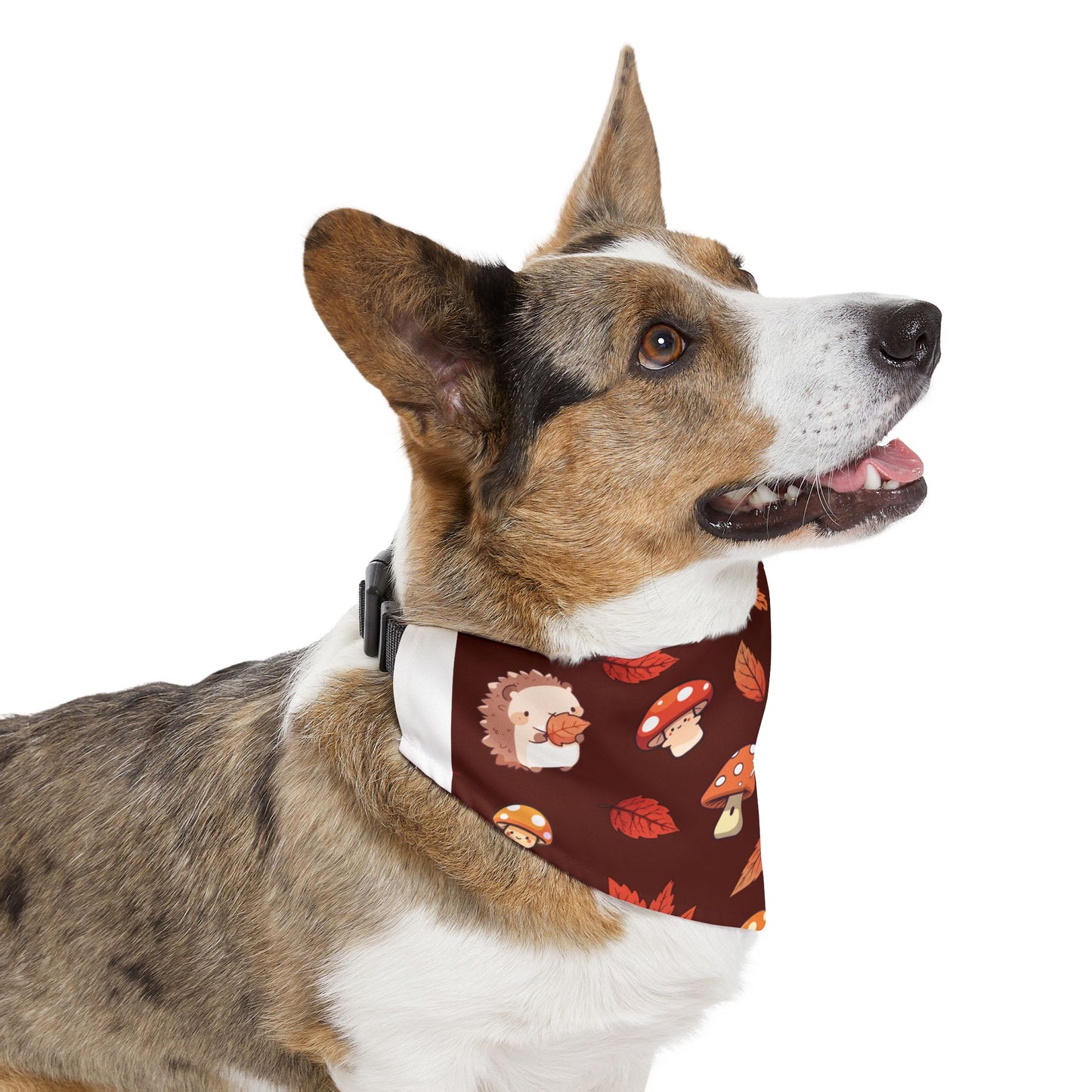 Autumn Pet Bandana Collar