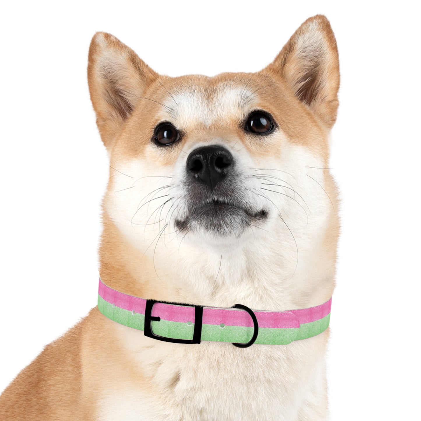 Watermelon Splash Collar