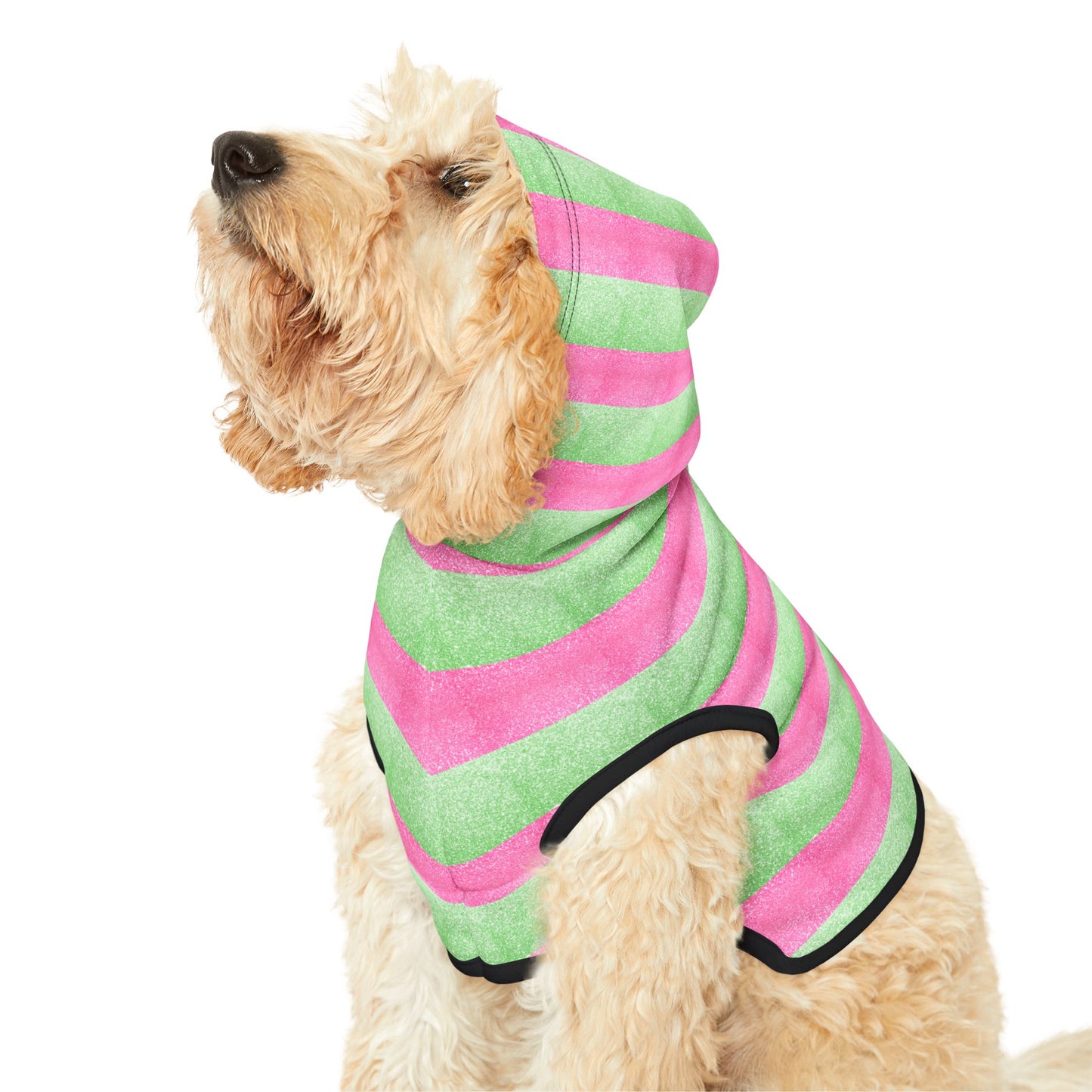 Watermelon Splash Hoodie