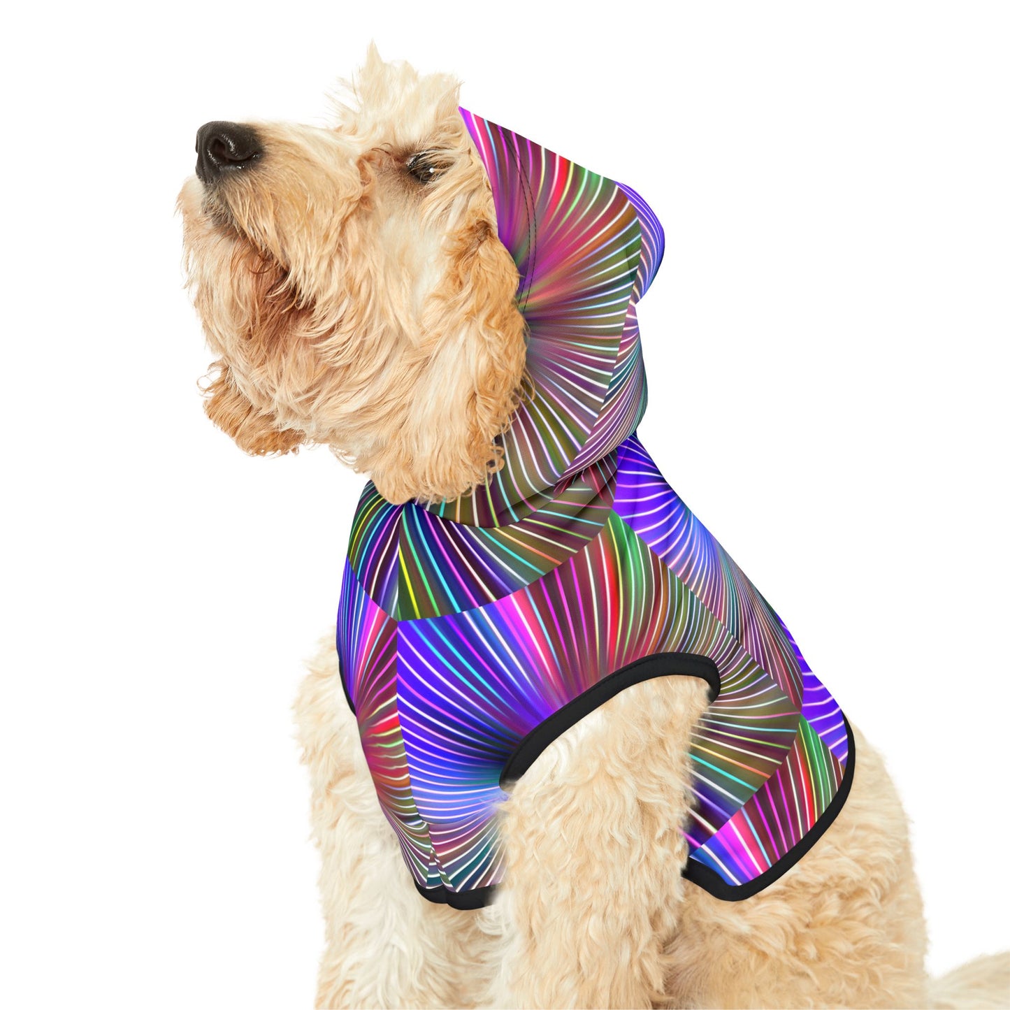Disco Pawty Hoodie