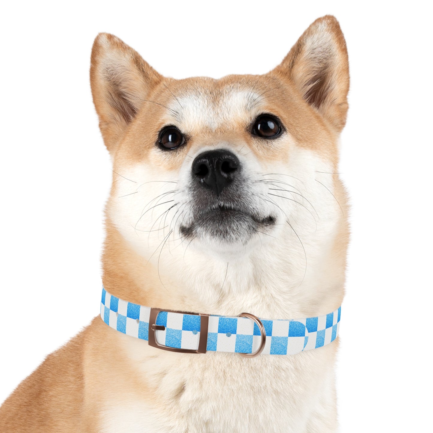 Blue Baloo Collar
