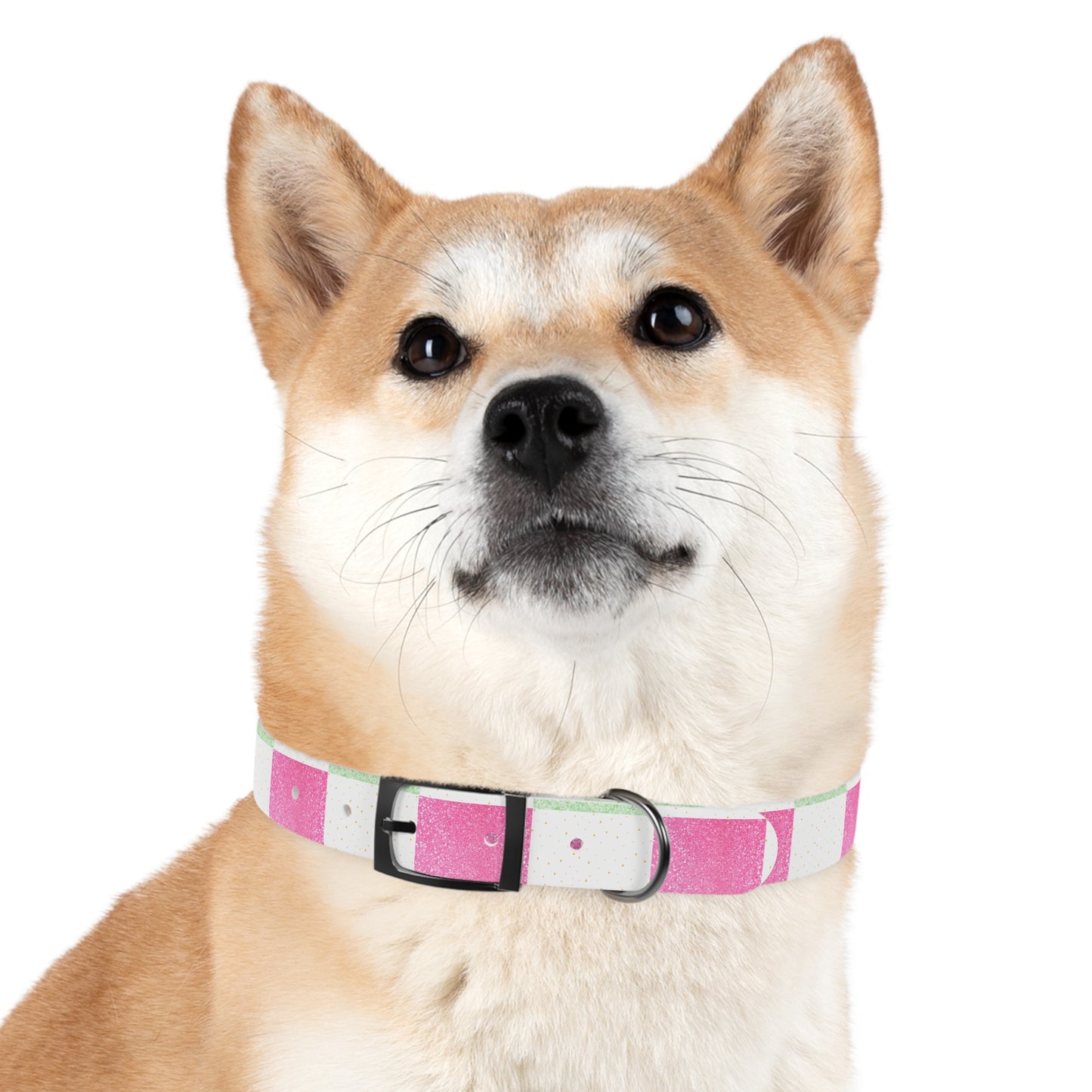 Candy Cane Blitz Collar