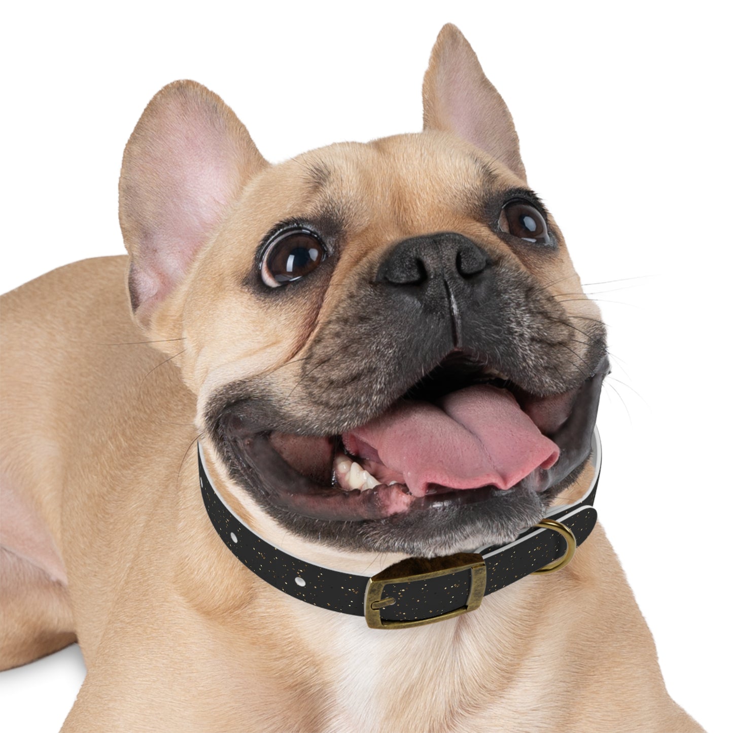 Midnight Dazzle Collar