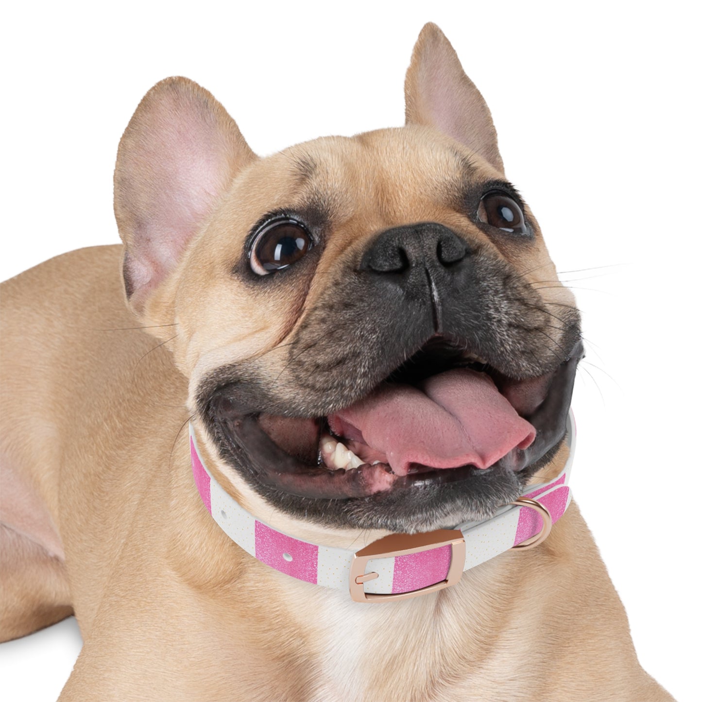 Candy Cane Blitz Collar