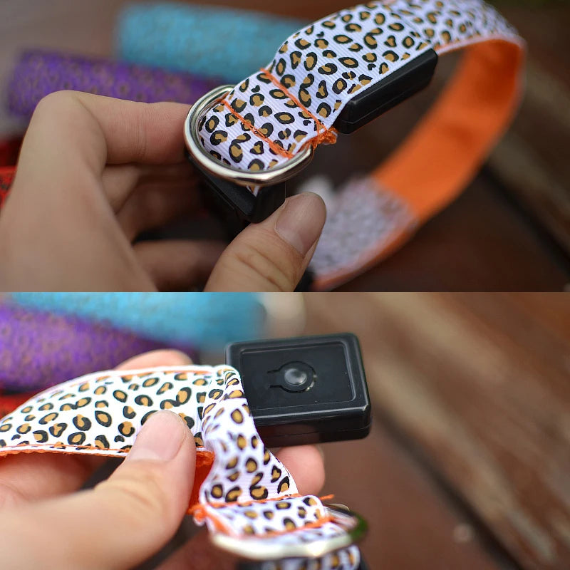 Print LED Collar