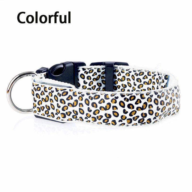 Print LED Collar