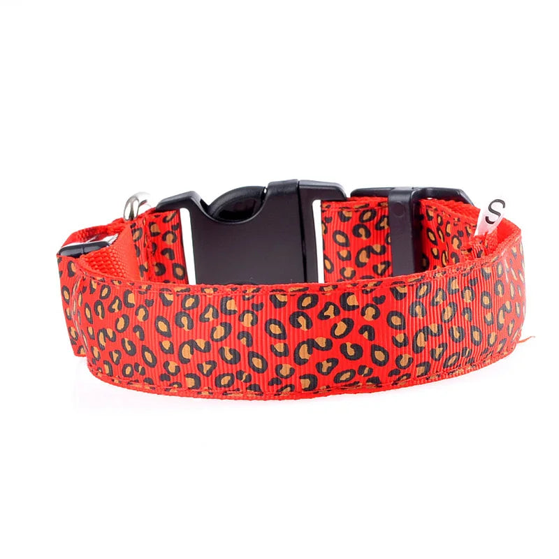 Print LED Collar