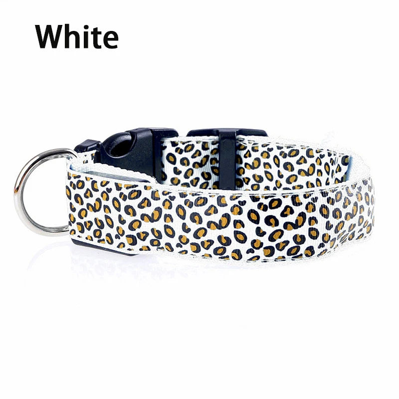 Print LED Collar