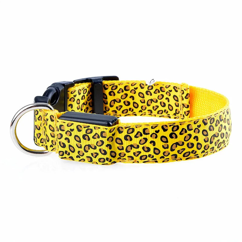 Print LED Collar