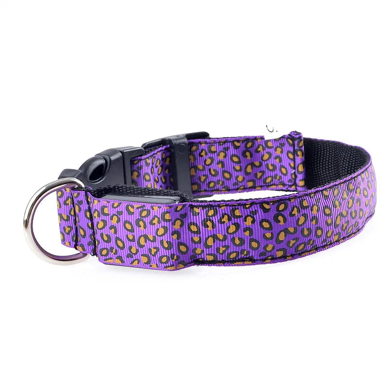 Print LED Collar