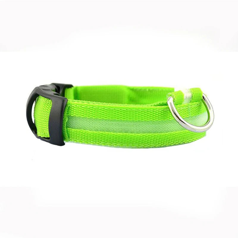 Print LED Collar