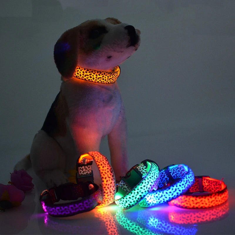 Print LED Collar