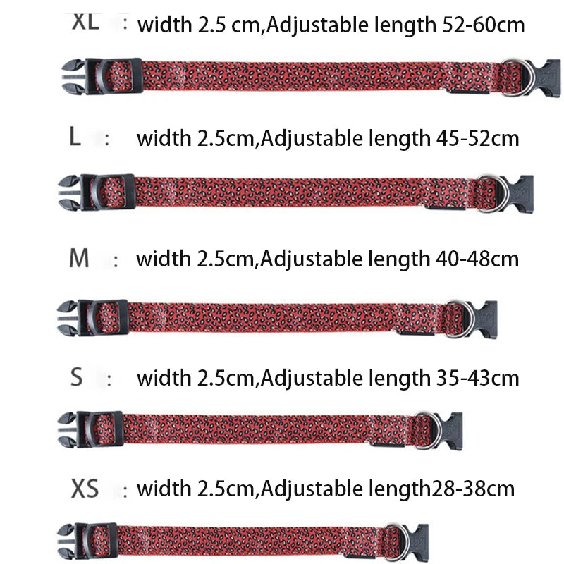 Print LED Collar