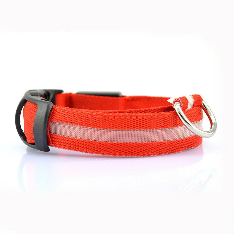 Print LED Collar