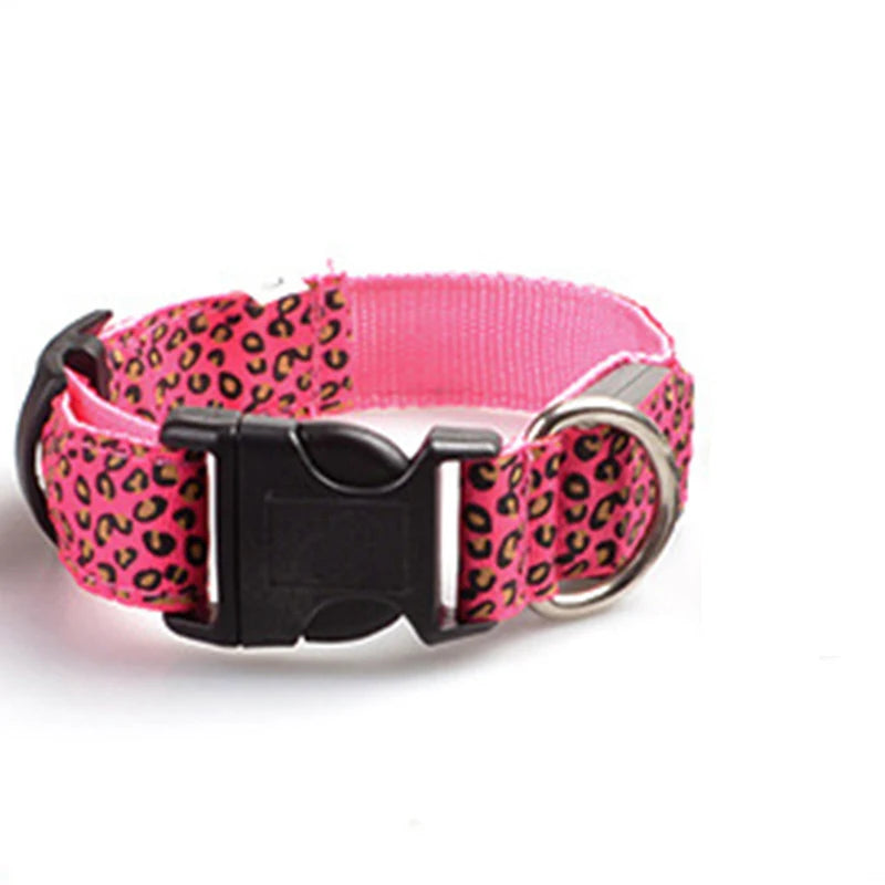 Print LED Collar