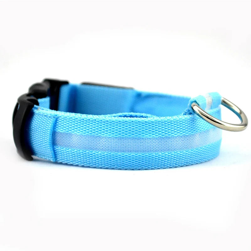Print LED Collar