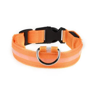 Print LED Collar