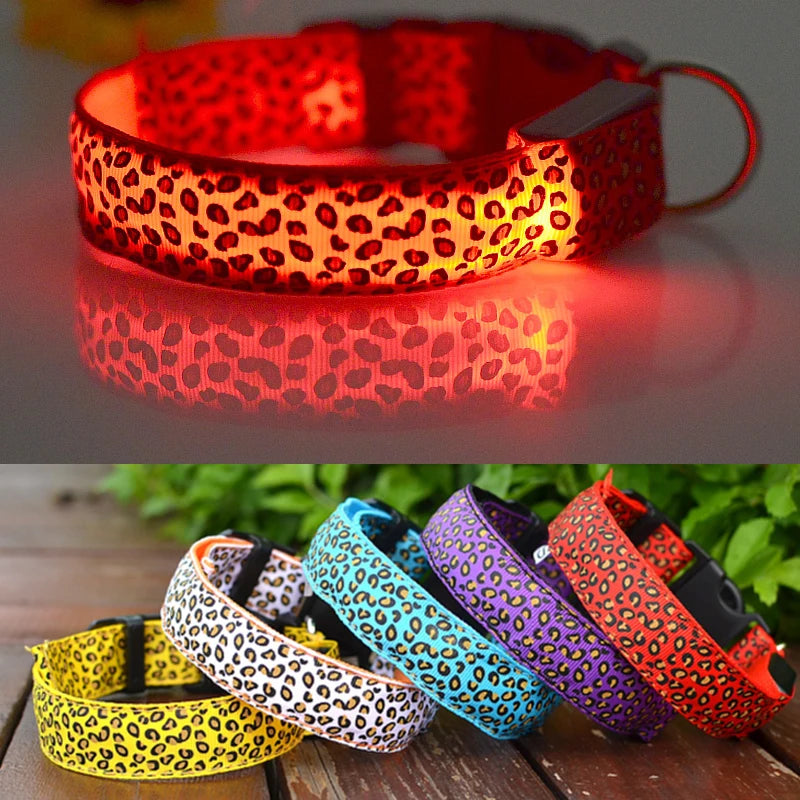 Print LED Collar