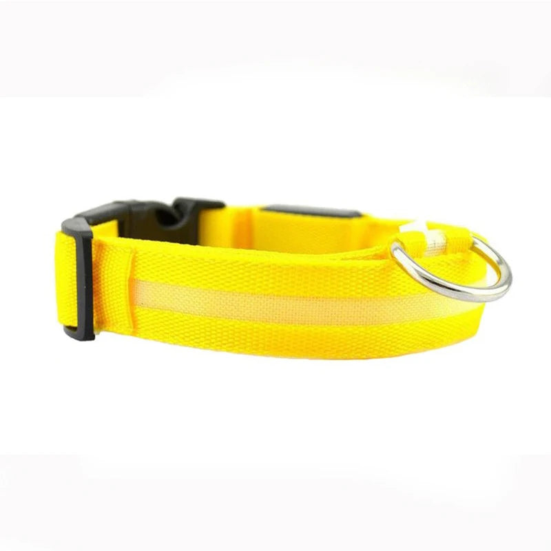 Print LED Collar