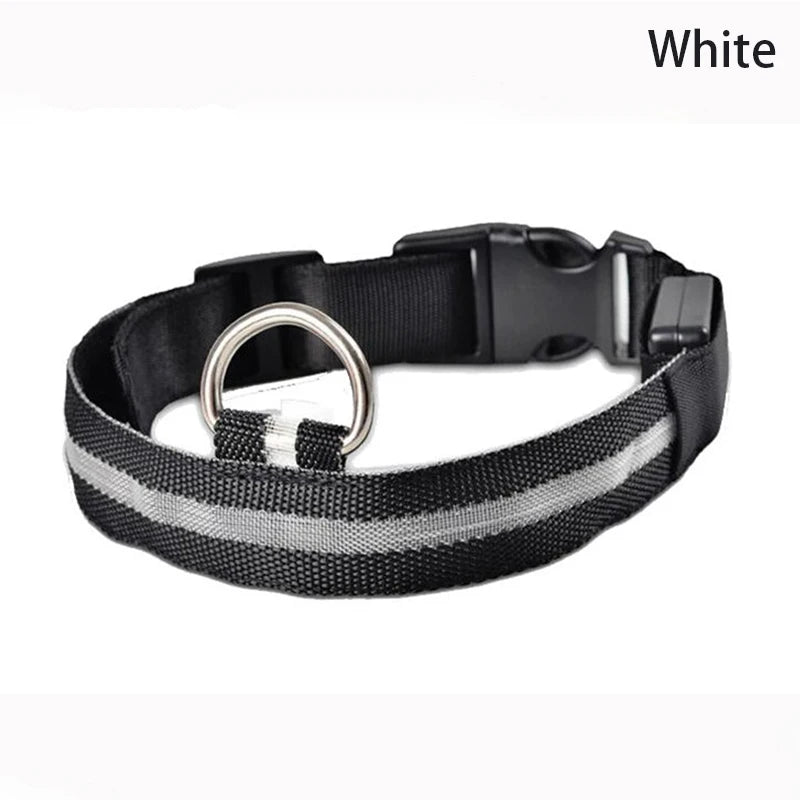 Print LED Collar
