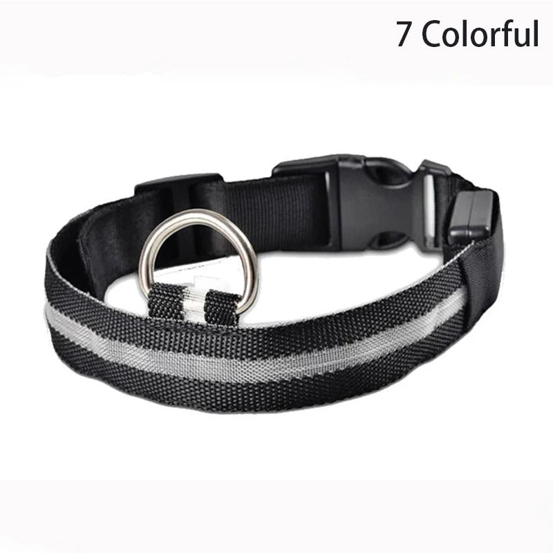Print LED Collar