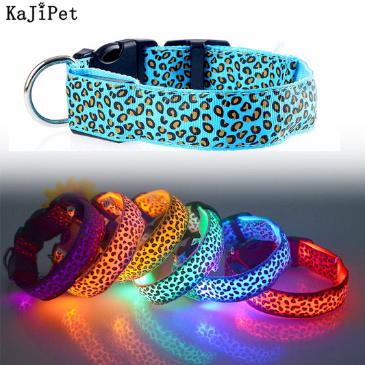 Print LED Collar