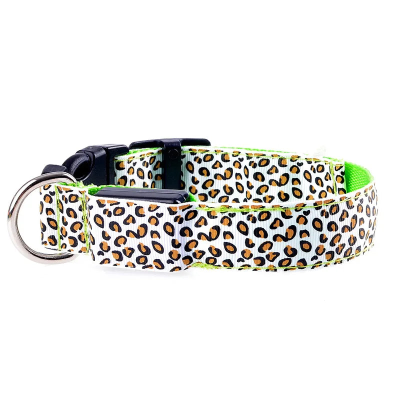 Print LED Collar