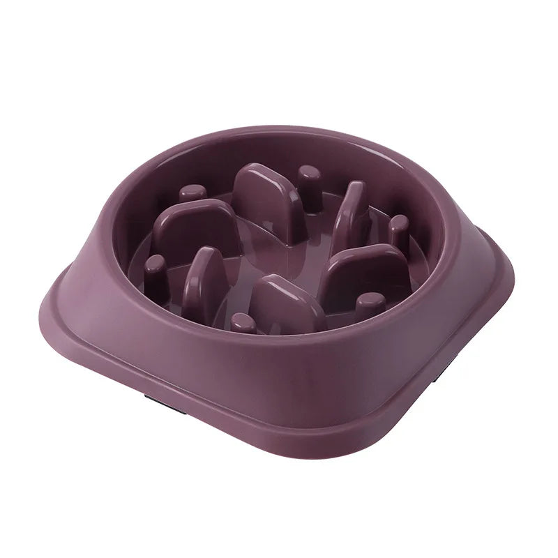 Slow Feed Bowl