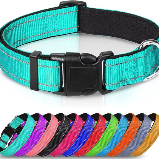 Glo Go Reflective Collar
