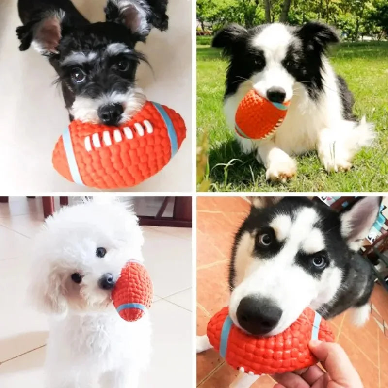 Sport Ball Squeaky