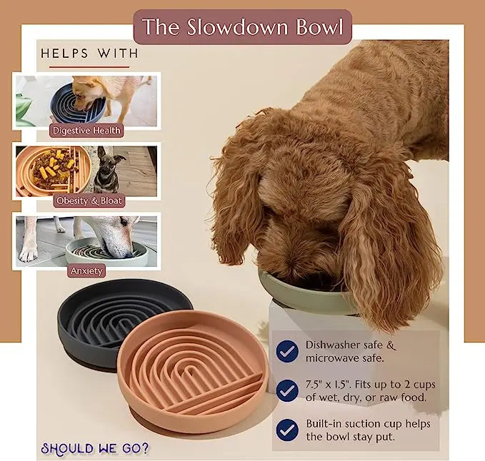 Slow Feed Bowl