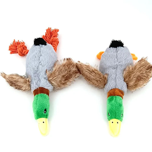 Quacky Duck Toy