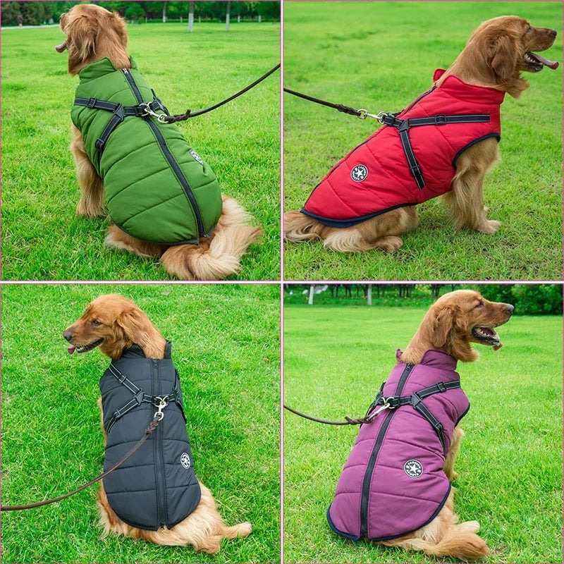 Jacket with Harness