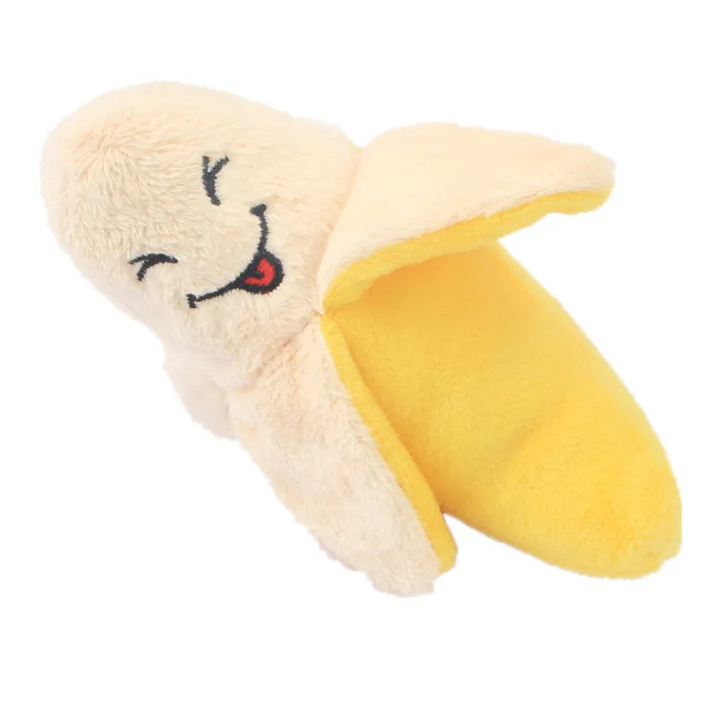 Squeaky Plush Toy