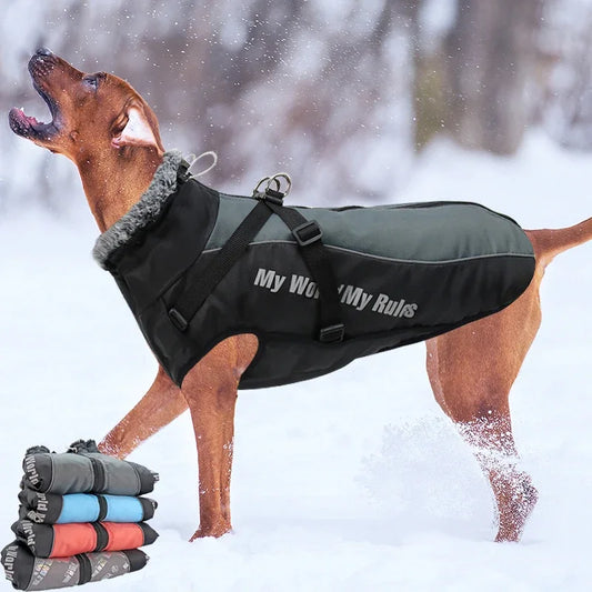 Waterproof Dog Coat With Harness