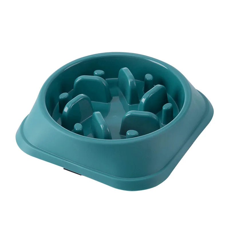 Slow Feed Bowl