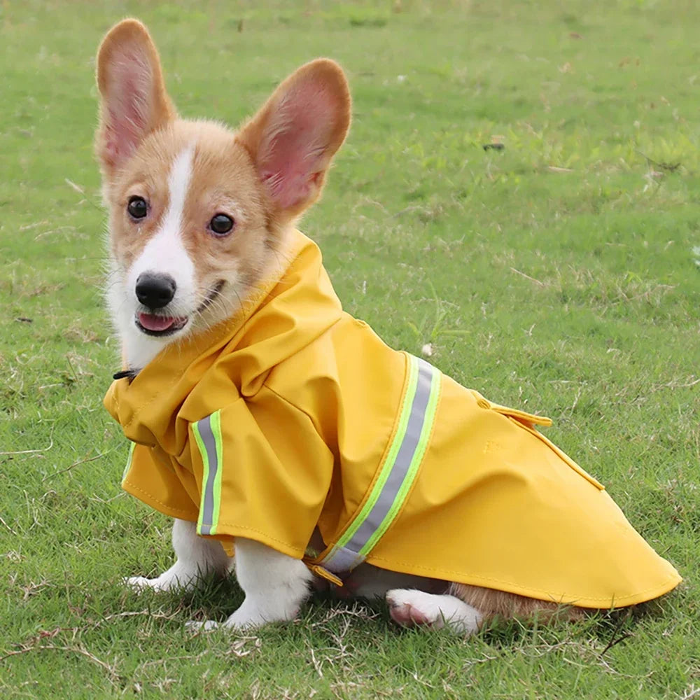 Reflective Dog Raincoat