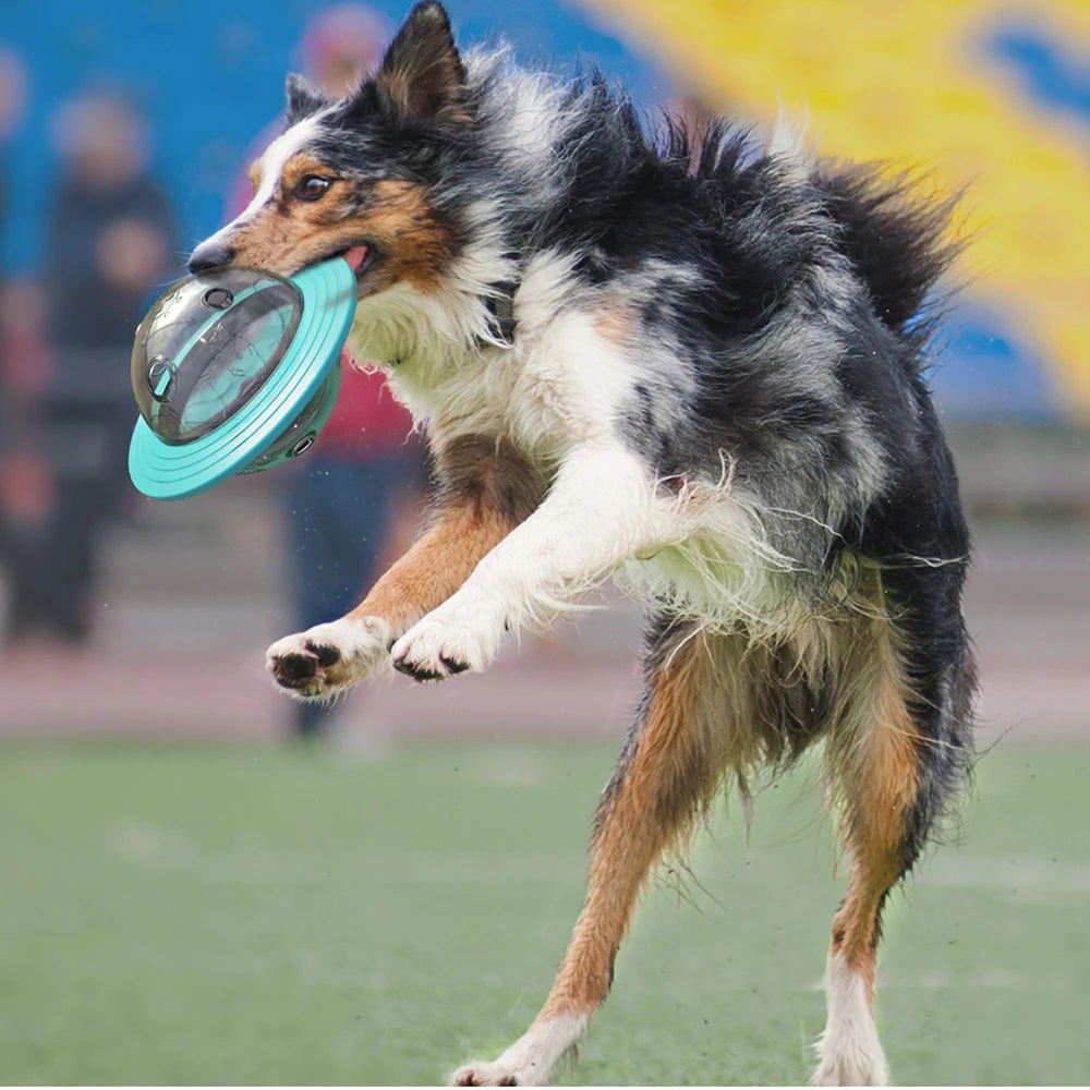 Saucer Treat Toy