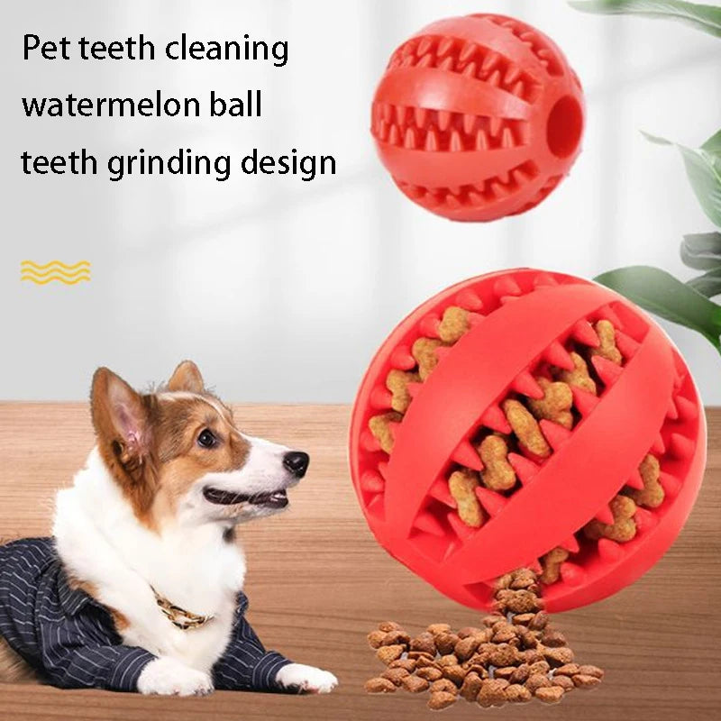 Interactive Treat Toy