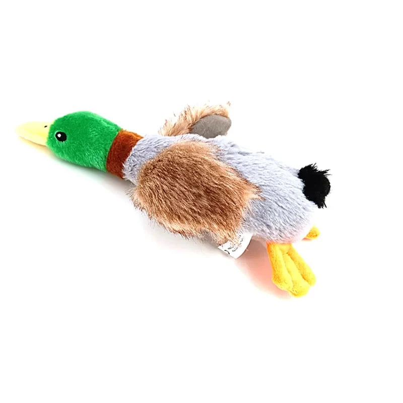 Quacky Duck Toy