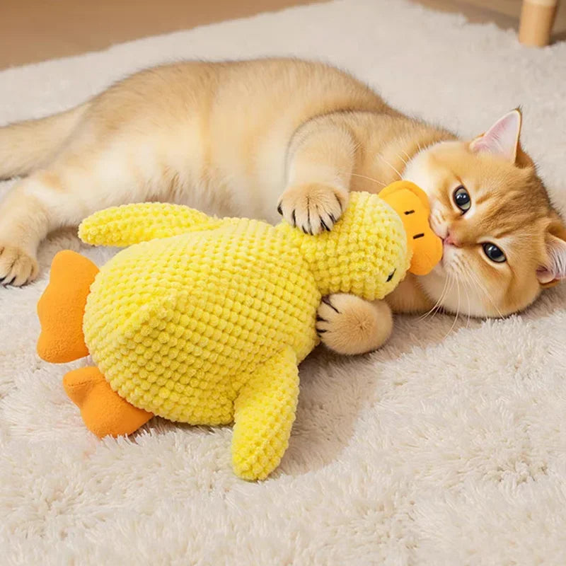 Plush Quack
