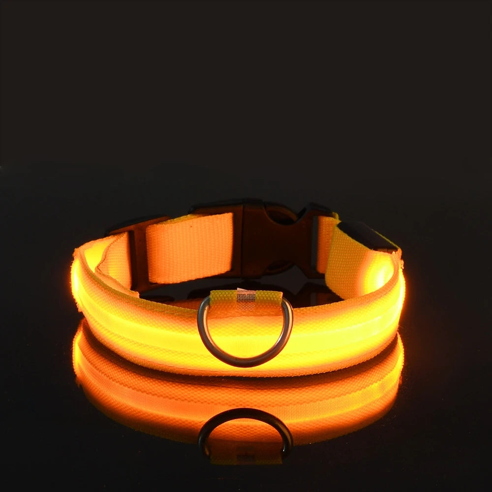 LED Safety Collar