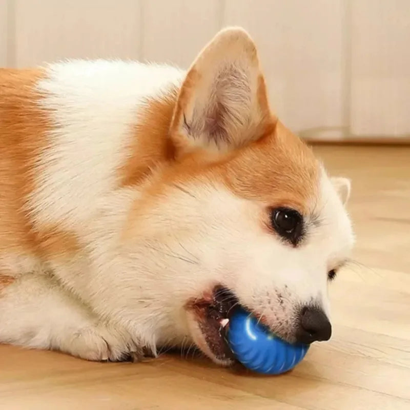 Automatic Rolling Ball