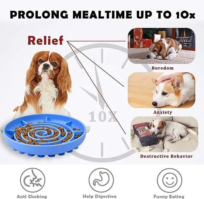 Slow Feed Bowl