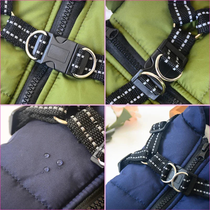 Jacket with Harness